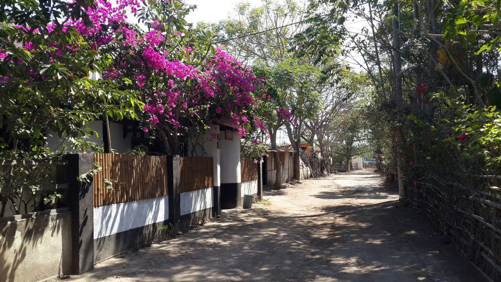 Dili Gili Bed and Breakfast Gili Trawangan Exteriör bild