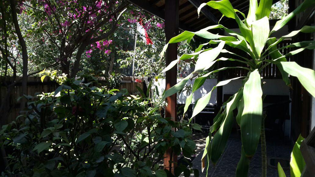 Dili Gili Bed and Breakfast Gili Trawangan Exteriör bild